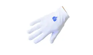 Gants Brodés