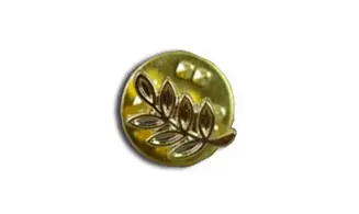 Acacia doré