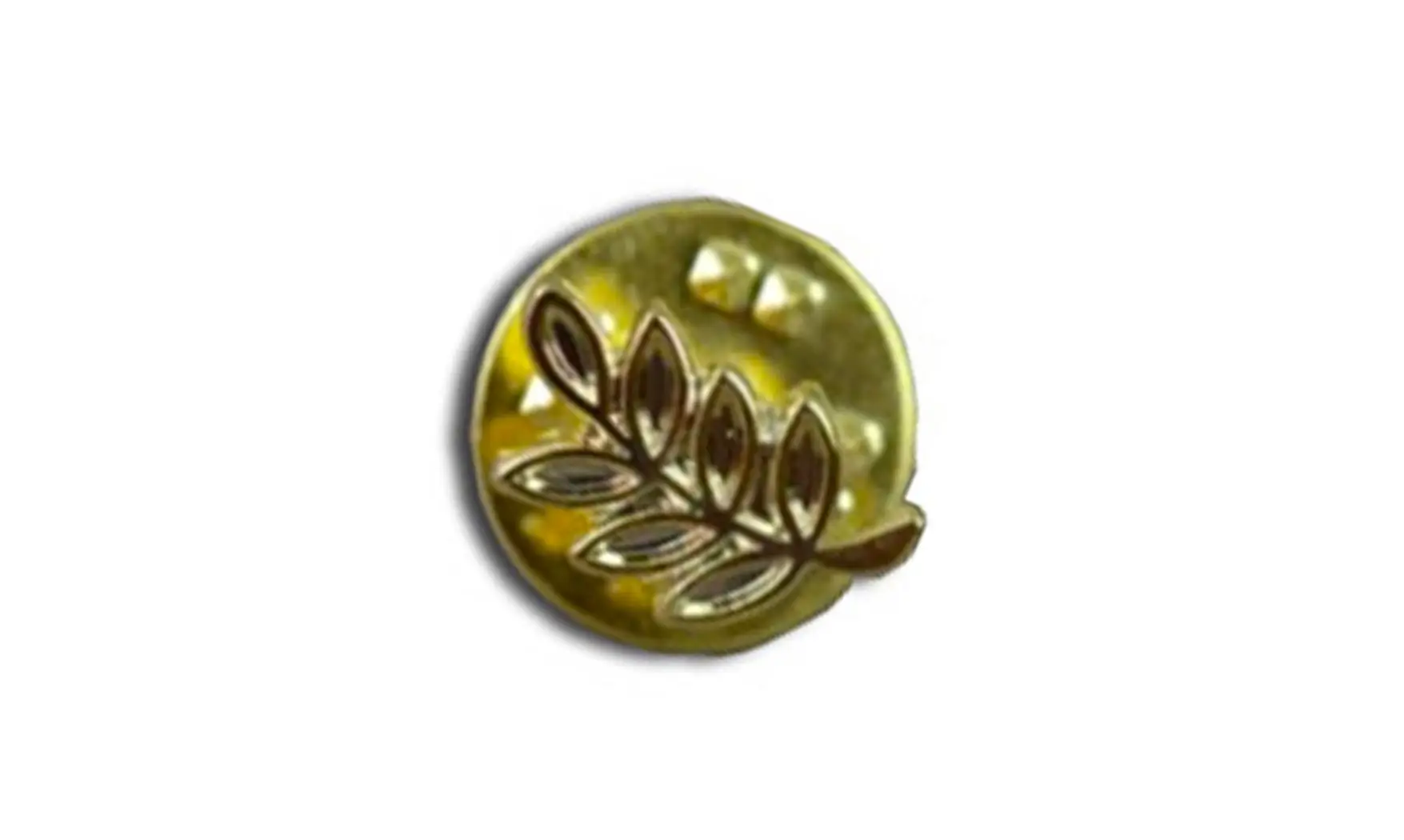 Acacia doré