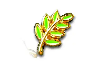 Acacia Émaillé vert