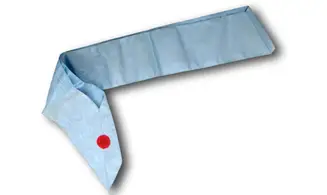 Cordon Rite Français