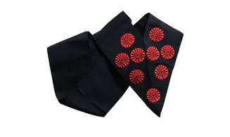 Cordon 9ème Degré REAA