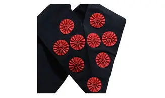 Cordon 9ème Degré REAA